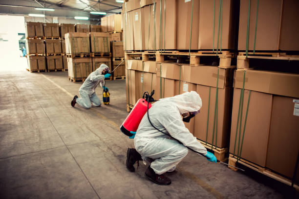 Best Ant Control Services  in Byron Center, MI
