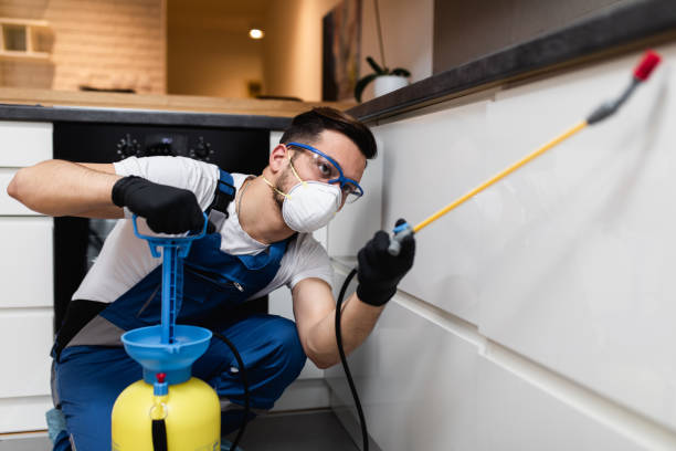 Best Wasp Removal Services  in Byron Center, MI