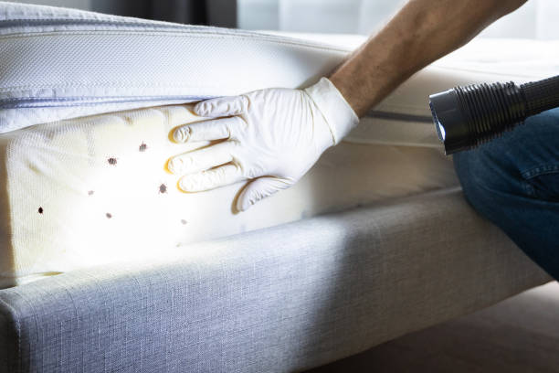 Best Residential Pest Control  in Byron Center, MI
