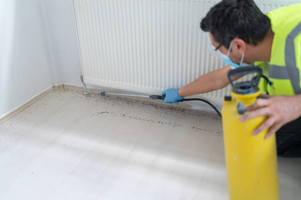 Best Mosquito Control Services  in Byron Center, MI